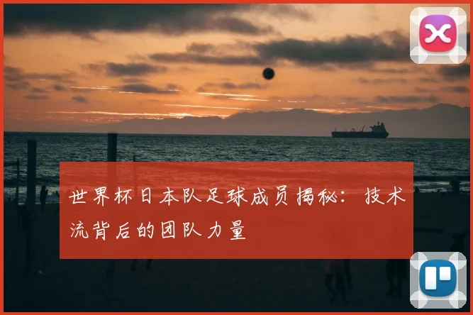 世界杯日本队足球成员揭秘:技术流背后的团队力量