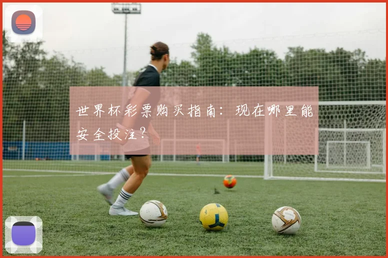 世界杯彩票购买指南:现在哪里能安全投注?