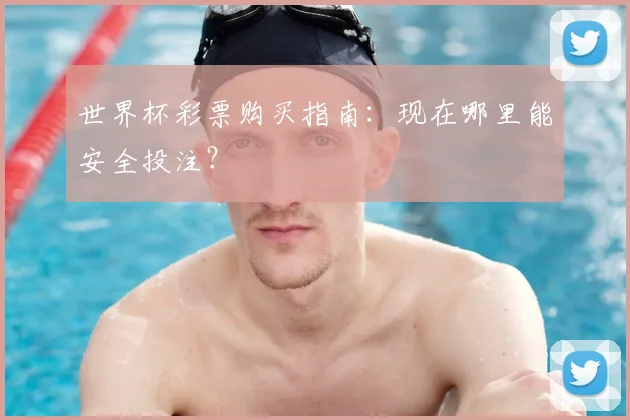 世界杯彩票购买指南:现在哪里能安全投注?