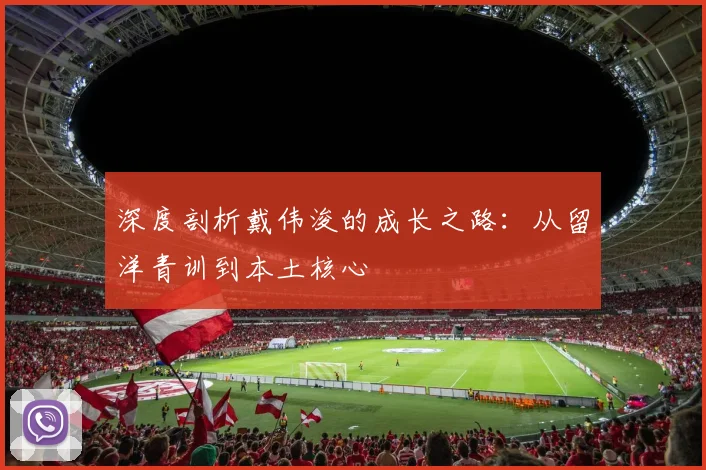 深度剖析戴伟浚的成长之路：从留洋青训到本土核心