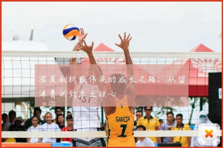 深度剖析戴伟浚的成长之路：从留洋青训到本土核心